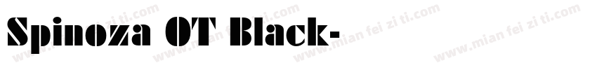 Spinoza OT Black字体转换